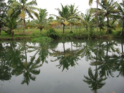 indiakerala: India-Kerala-IMG_3762.jpg
