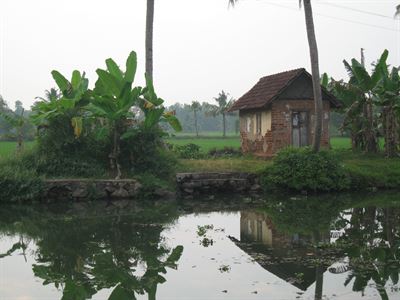 indiakerala: India-Kerala-IMG_3827.jpg